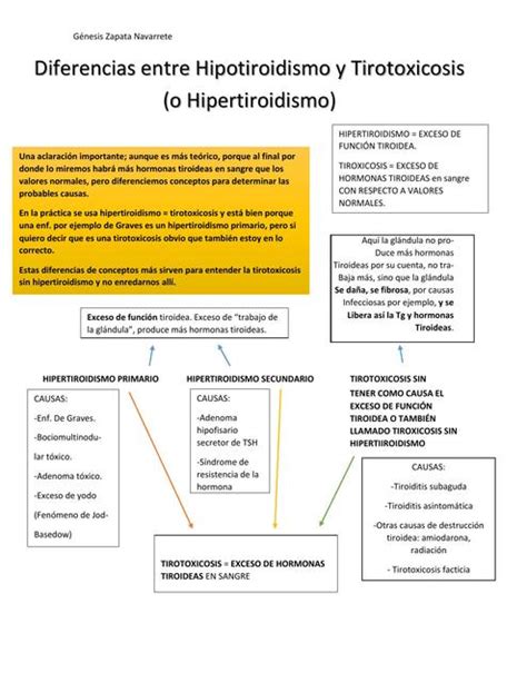 Cuadro Comparativo Entre Hipertiroidismo E Hipotiroidismo Hot Sex Picture