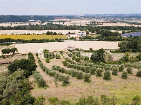 Terreno Edificabile Viale Cesare Battisti Attigliano Rif