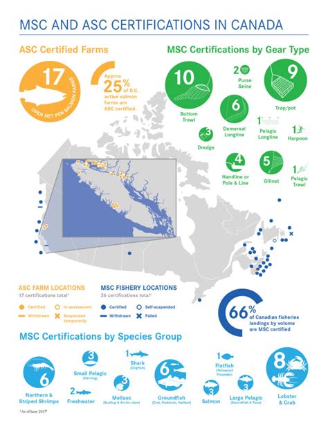 Improving Eco Certifications Seachoice