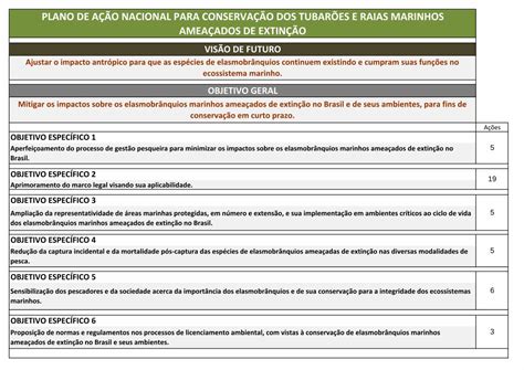 Pdf Plano De A O Nacional Para Conserva O Dos Tubar Es E Raias