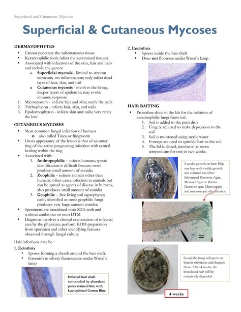 Solution Mycology Virology Superficial And Cutaneous Mycoses Studypool