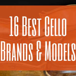 Best Cello Brands and Models - Orchestra Central