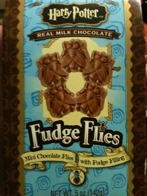 Fudge Flies | Chocolate milk, Fudge, Chocolate