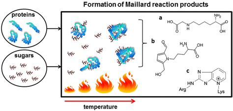 Simplified Scheme Of The Formation Of Maillard Reaction Product During Download Scientific