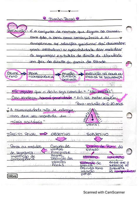 Solution Resumo Teoria Do Crime Studypool