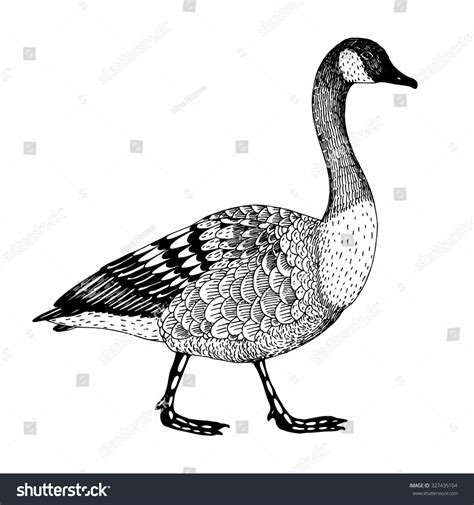 Abstract Hand Drawn Vector Illustration Goose Stock Vector Royalty