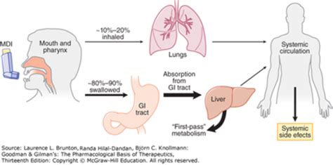 Pulmonology Pharmacology Flashcards Quizlet