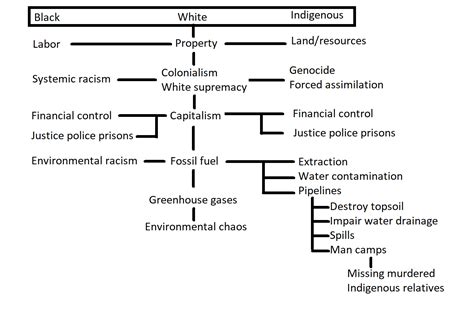 Settler Colonialism As Structure Quakers Social Justice And Revolution