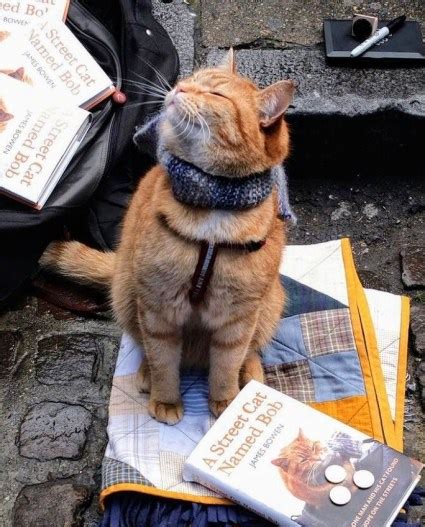 HOW STREET CAT BOB CHANGED MY LIFE - Fates on Fire