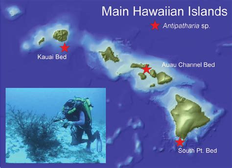 Map Hawaiian Islands Best Map Of Middle Earth