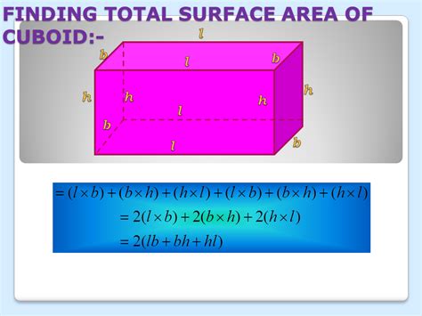 Surface Area Of A Cuboid