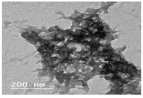 Phenotypically And Molecular Identification Of R Solania Growth Of