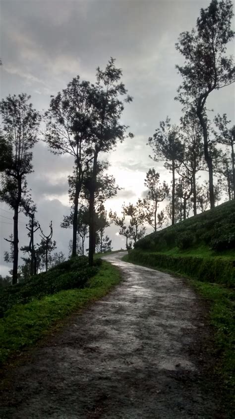 Valparai: Waterfalls, wilderness and solace - The Tap Stories