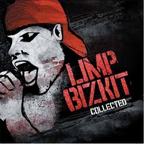 Limp Bizkit - Collected (2008, CD) | Discogs