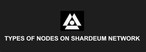 What Are The Types Of Nodes In Shardeum Rshardeum