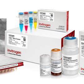 Invitrogen Collibri DNA Library Prep Kits For Illumina Systems