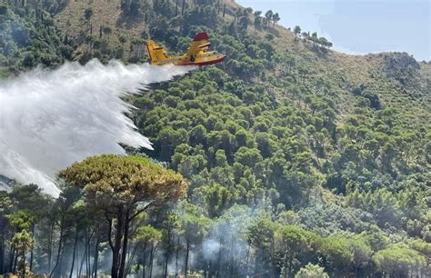 Vigili Del Fuoco Del Comando Provinciale Di Caserta In Azione Contro