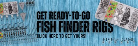 Master the Fish Finder Rig for Surf Fishing - Fish and Game Report