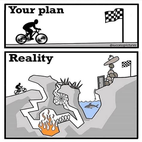 Your Plan Vs Reality 🤙🏻 ————————————————— 🐾follow