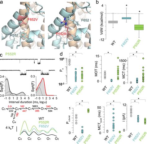 NMDA receptor variants associated with neurological dysfunction display... | Download Scientific ...