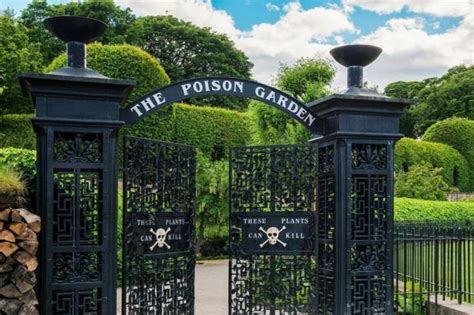 Mengenal The Poison Garden Taman Paling Beracun Di Dunia Malay News