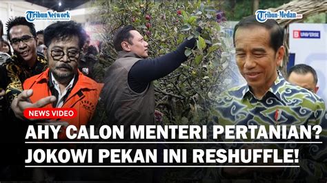 PANAS Jokowi Reshuffle Kabinet Pekan Ini AHY Kasih Kode Foto Di Kebun