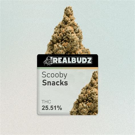 Scooby Snacks | 25.51% - Realbudz