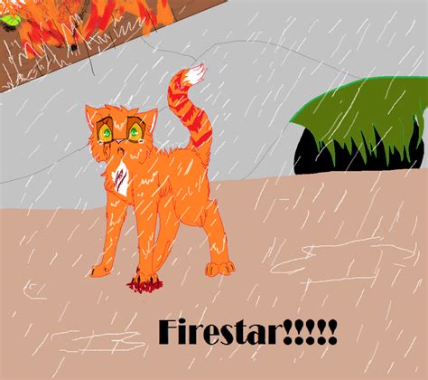 SPOILER ALERT Firestar's death by WarriorCatsGirl on DeviantArt