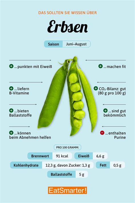 Erbsensorten Eigenschaften Und Klassifizierung Dekorationgarten