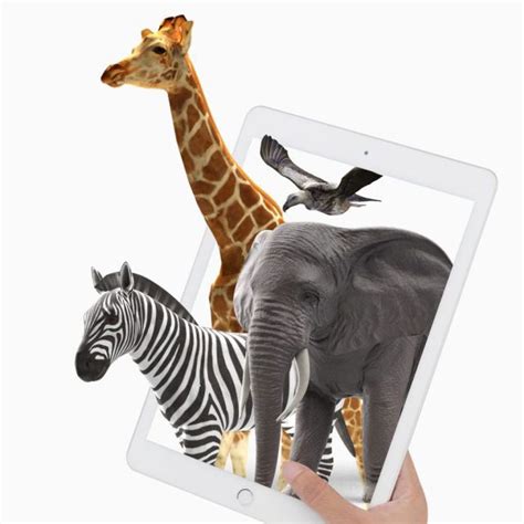 Animal 4D+ Flashcards with Food - TechnologyEDUC