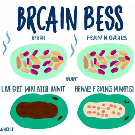 Do Beans Make You Fart Understanding The Science Behind Flatulence