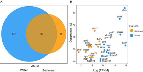 Frontiers Auxiliary Metabolic Gene Functions In Pelagic And Benthic