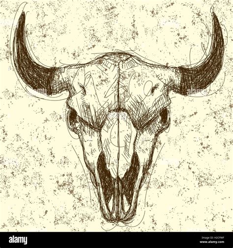 Cow skull Cow skull drawing over an abstract background Stock Vector ...