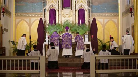 Palm Sunday Traditional Latin Mass Fssp Youtube