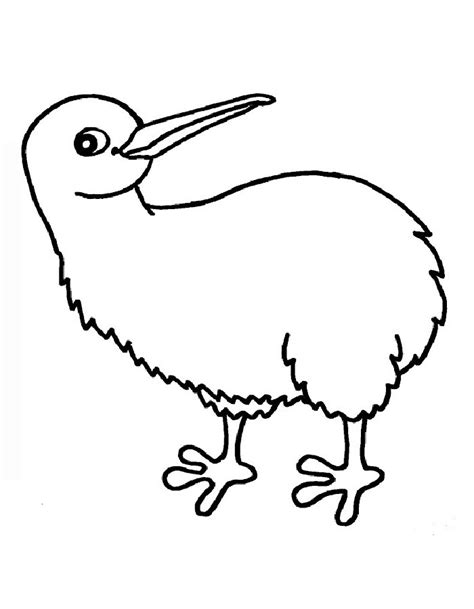 Kiwi Bird Coloring Pages Free Printable PDF