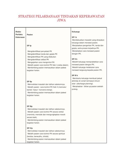 Contoh Strategi Pelaksanaan Tindakan Keperawatan Homecare24