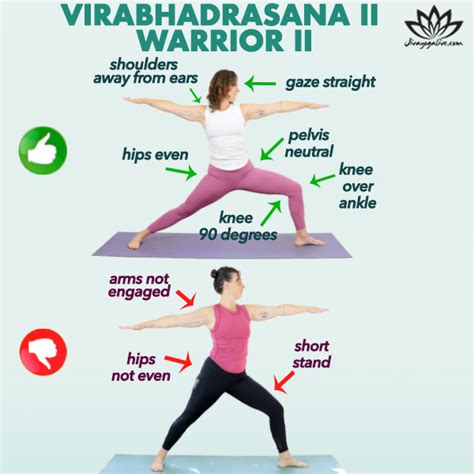 Master Warrior 2 Pose Virabhadrasana Ii Jivayogalive