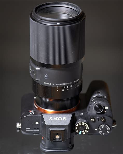 Sigma 105mm F2 8 DG DN Macro Art Review Cameralabs