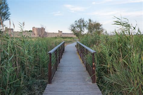 Visiter Aigues Mortes Que Faire Guide Pratique