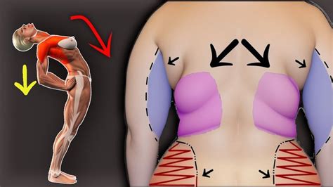 Al Instante Perder Grasa Lateral Y Michelines Side Fat Love