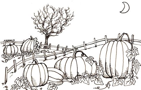 Pumpkin Coloring Pages – Printable Coloring Pages