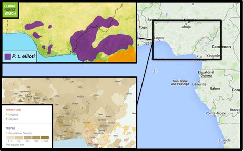 Endangered chimp habitat under threat from climate change