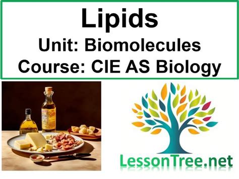 Cambridge As Level Biology Lipids Teaching Resources