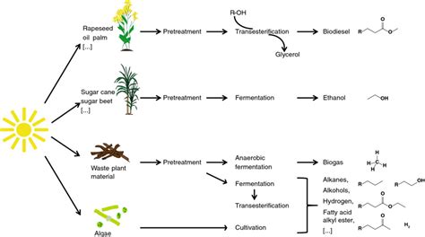 Overview Of The Production Of First And Second Generation Biofuels