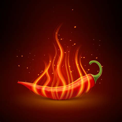 Red Chili Pepper Realistic Single Object 478815 Vector Art at Vecteezy