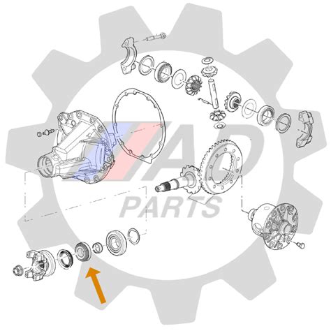 Rolamento Pinh O Diferencial Traseiro Toyota Hilux At