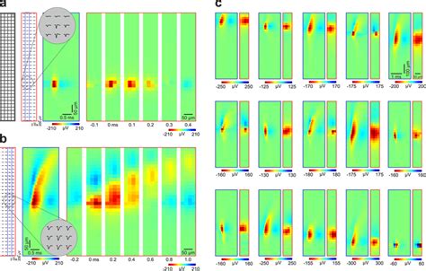 Spatiotemporal Profiles Of High Resolution Spike Waveforms Of Sorted