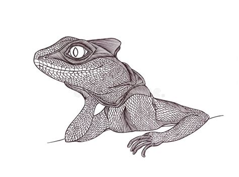 Lézard De Profil Tiré Par La Main Style Graphique Illustration Stock