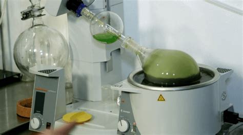 plant extraction  rotary evaporator wkie labcom