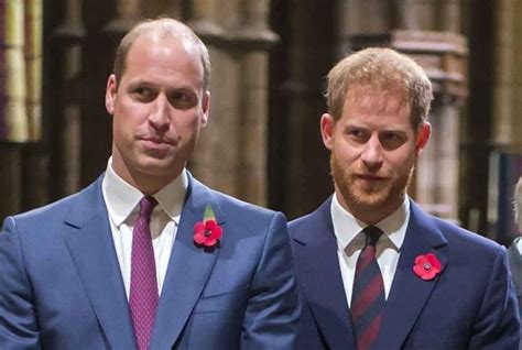 Il Me Jette Au Sol Le Prince William Et Harry En Sont Venus Aux Mains